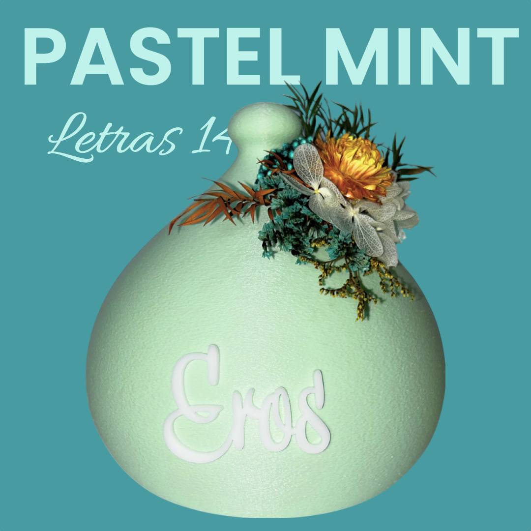 PASTEL MINT. LETRAS 14