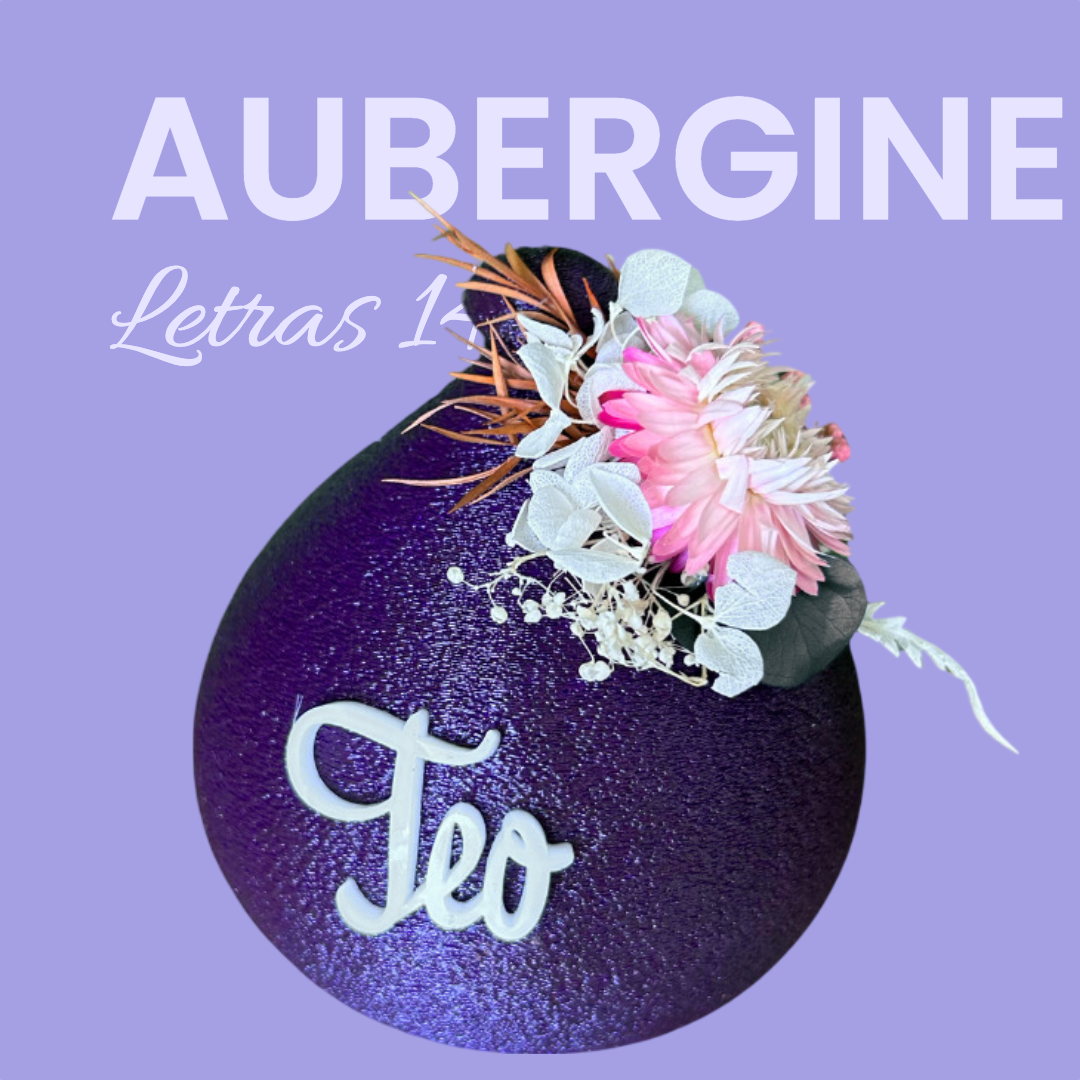 AUBERGINE. LETRAS 14